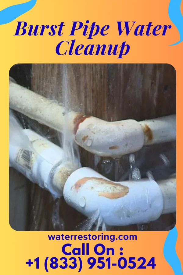 Burst Pipe Water Cleanup in Florida, NY