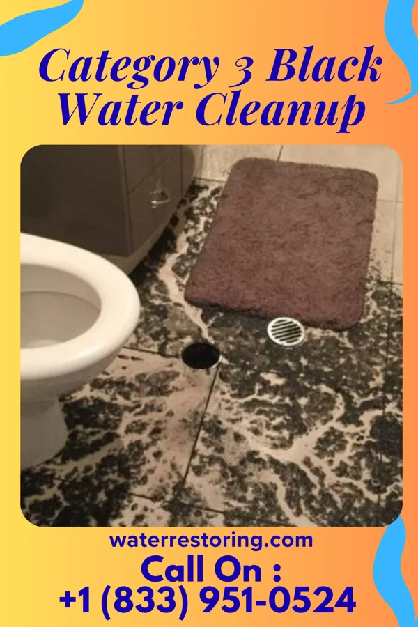 Category 3 Black Water Cleanup in Florida, NY