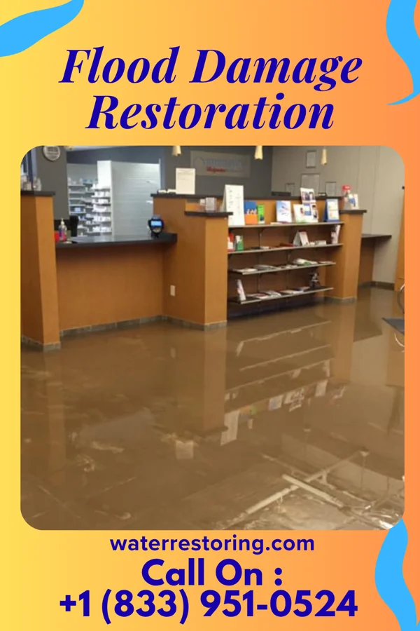 Flood Damage Restoration in Florida, NY
