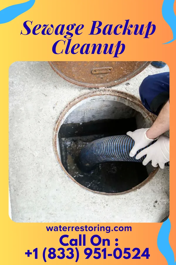 Sewage Backup Cleanup in Florida, NY