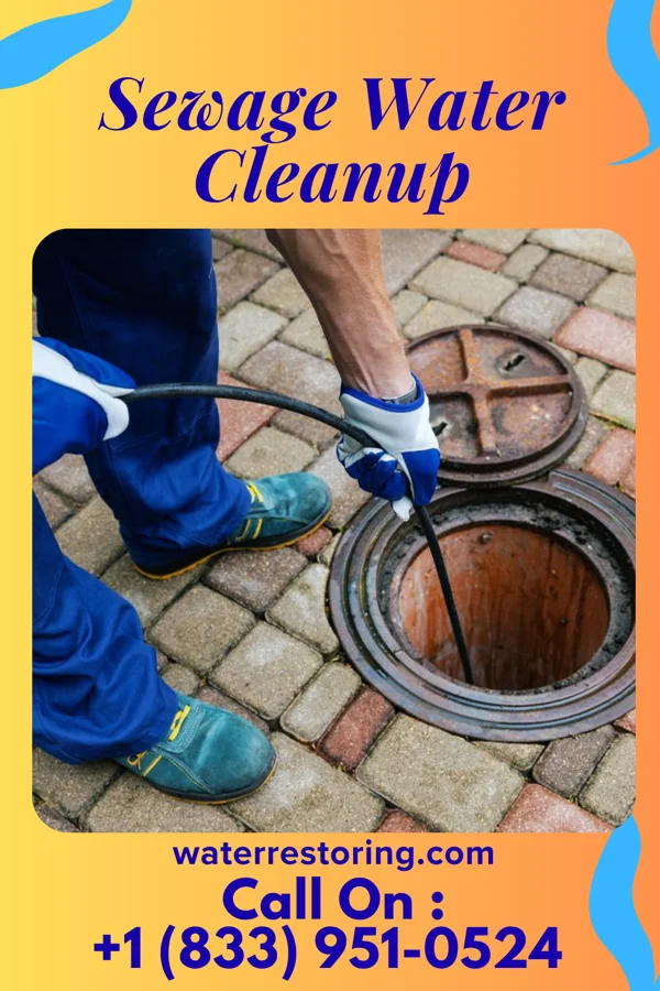Sewage Water Cleanup in Florida, NY